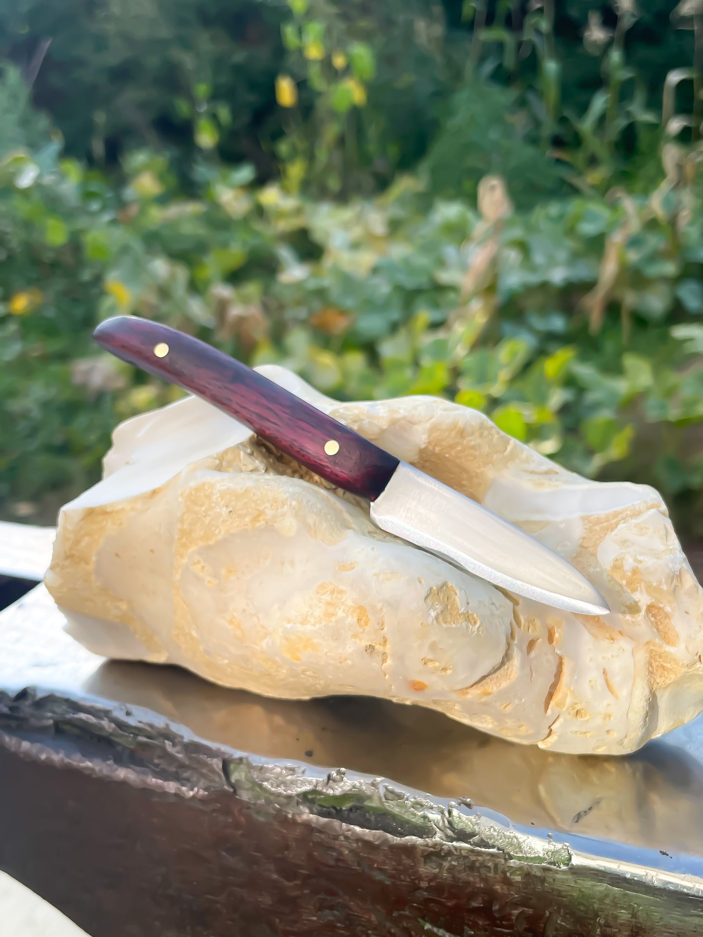 Pairing Knife w Dino Bone Liner