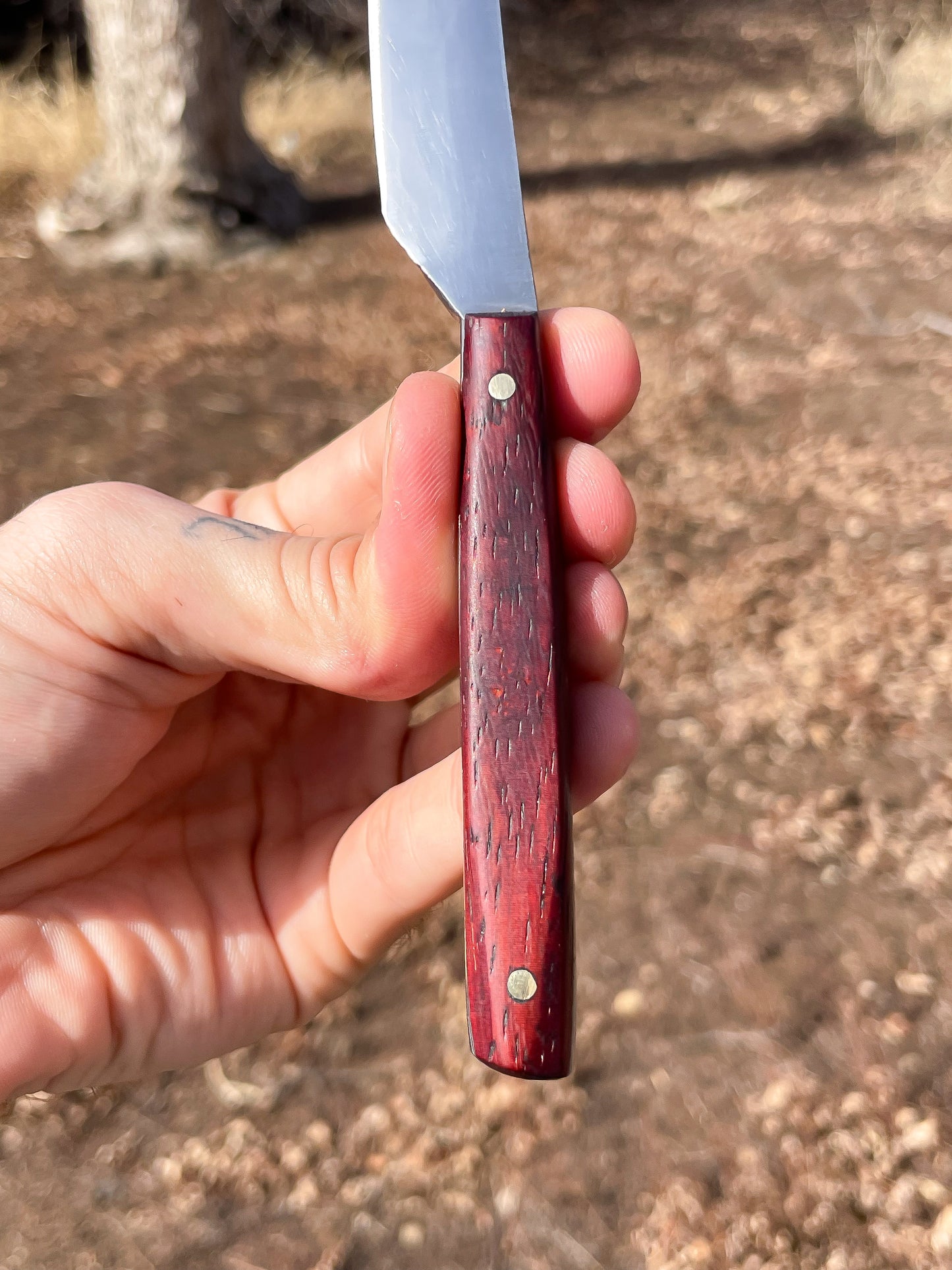 Chef’s Sabre with Leather Sheath
