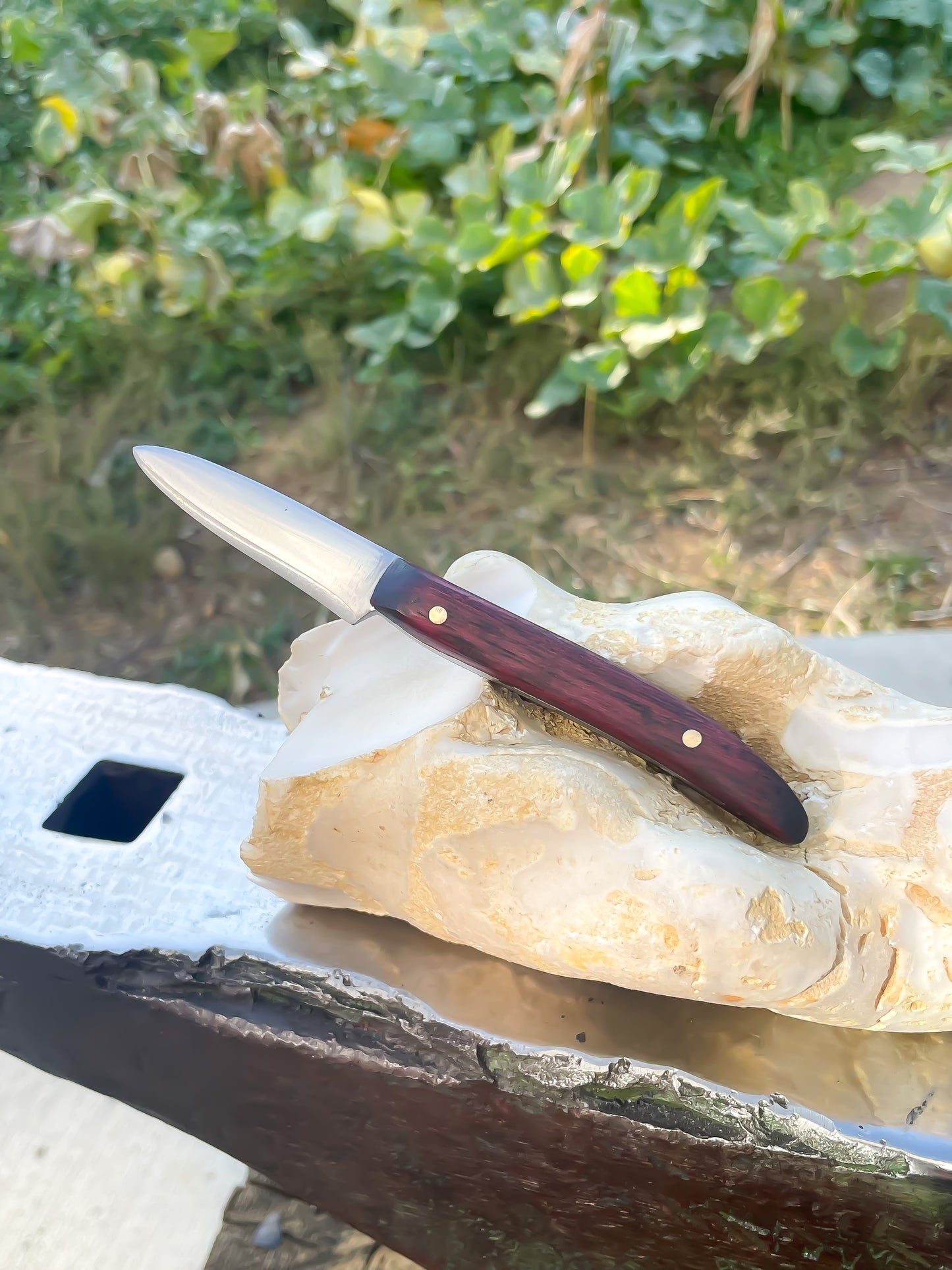 Pairing Knife w Dino Bone Liner
