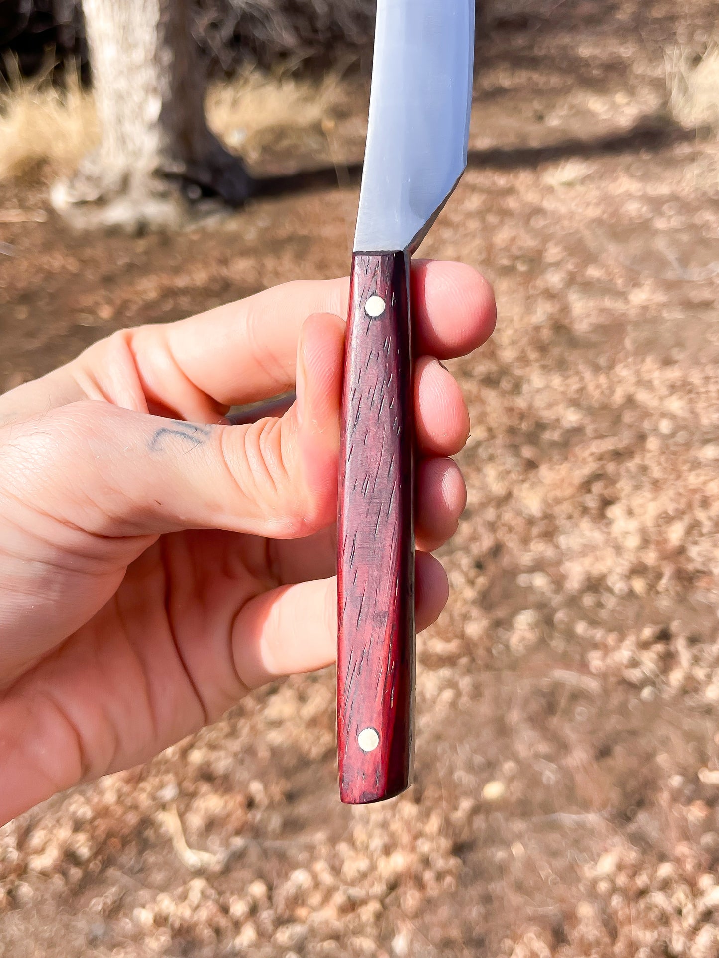 Chef’s Sabre with Leather Sheath