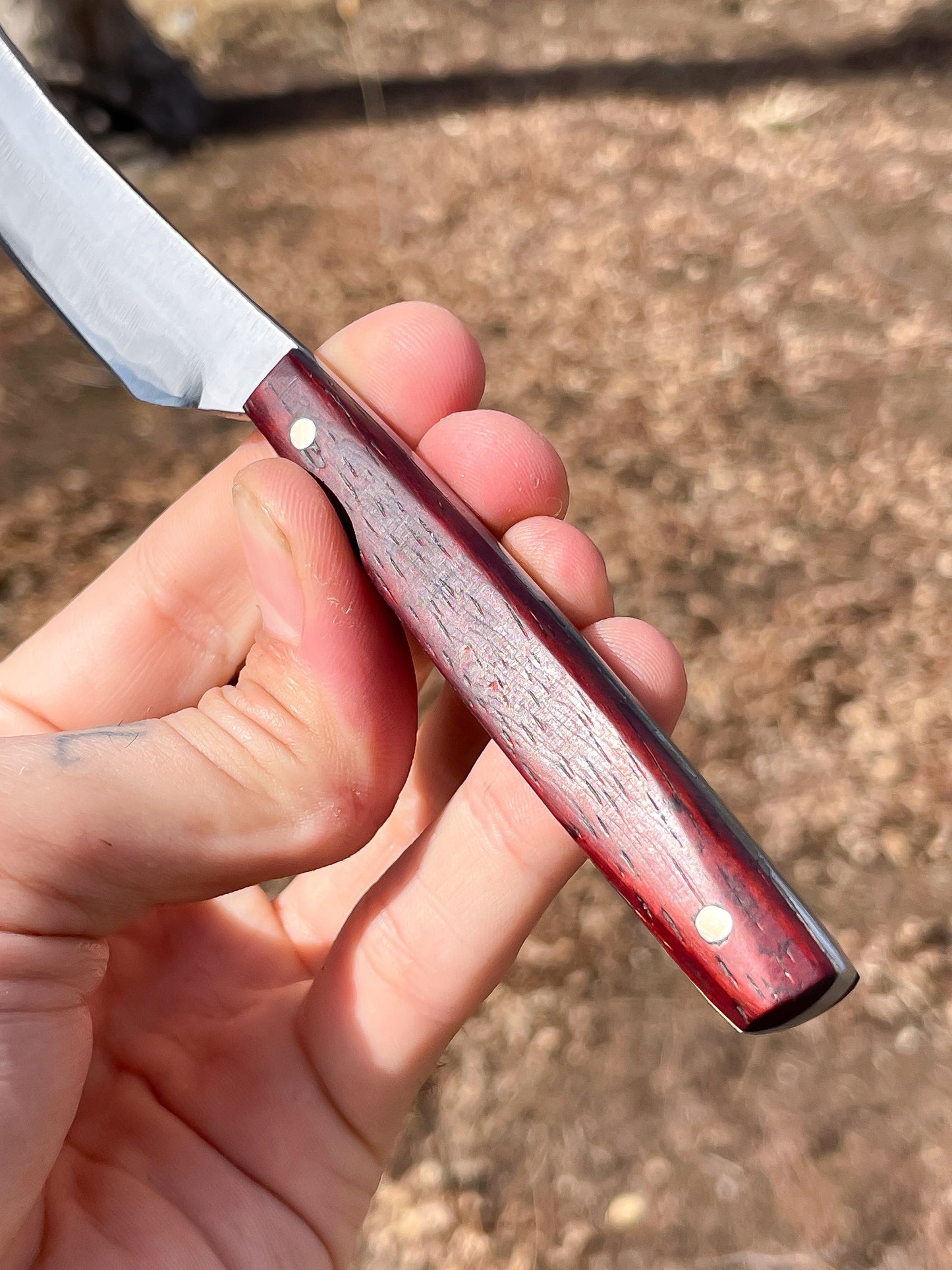 Chef’s Sabre with Leather Sheath