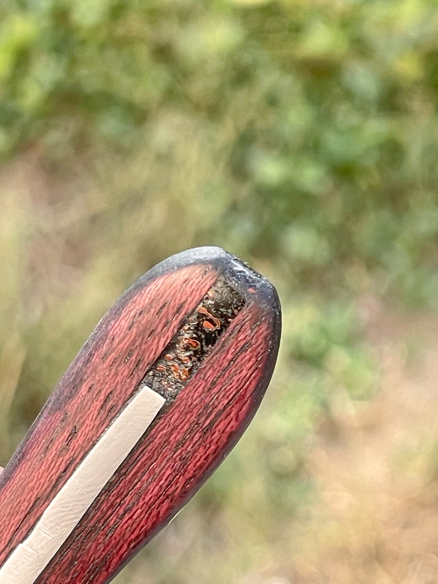 Pairing Knife w Dino Bone Liner