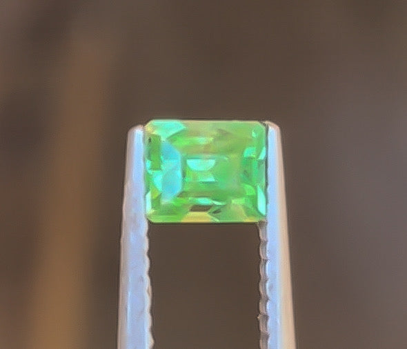 0.85ct Kenyan Tsavorite Garnet